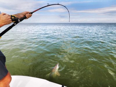 Clearwater-Beach-Fishing-Charter-16-q29a7uadl8mztf8n8a4ix1dd4lg4t2ed05gkzczliw